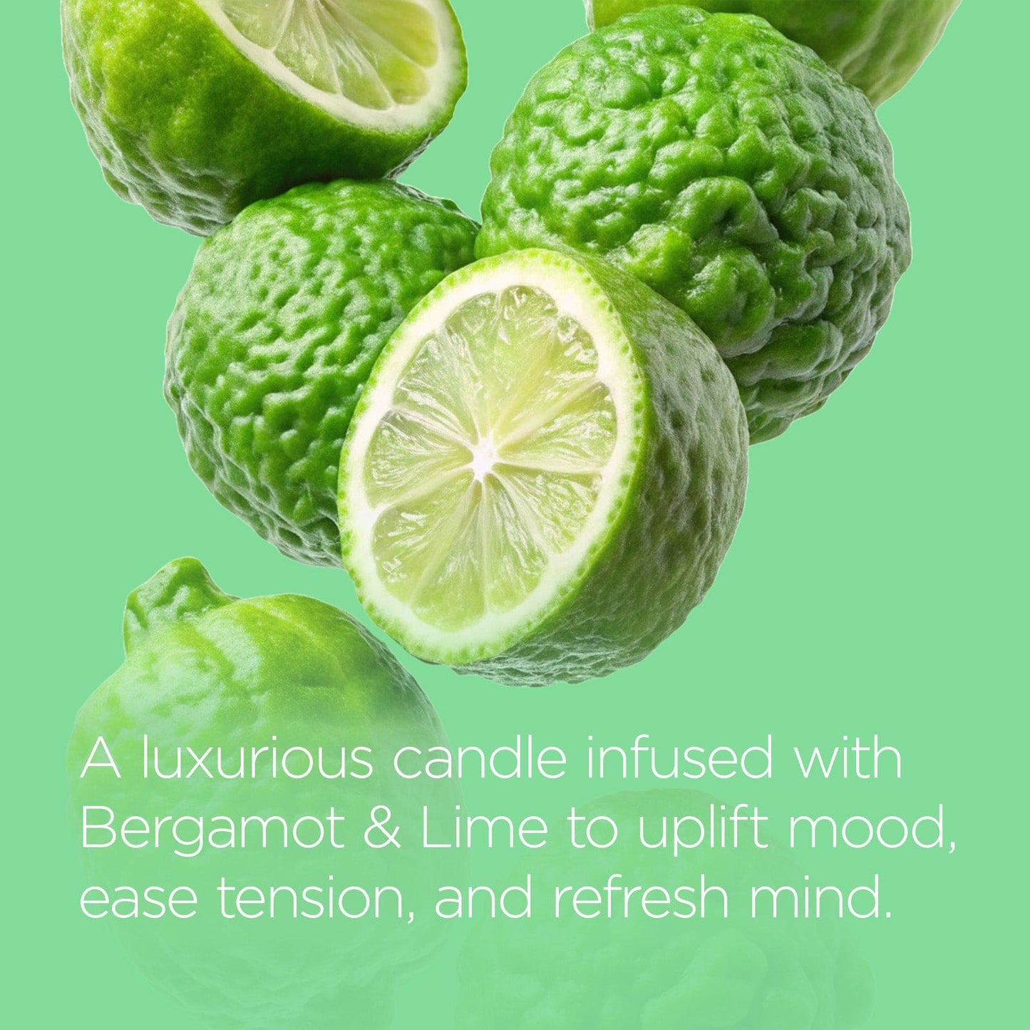Bergamot & Lime Candle