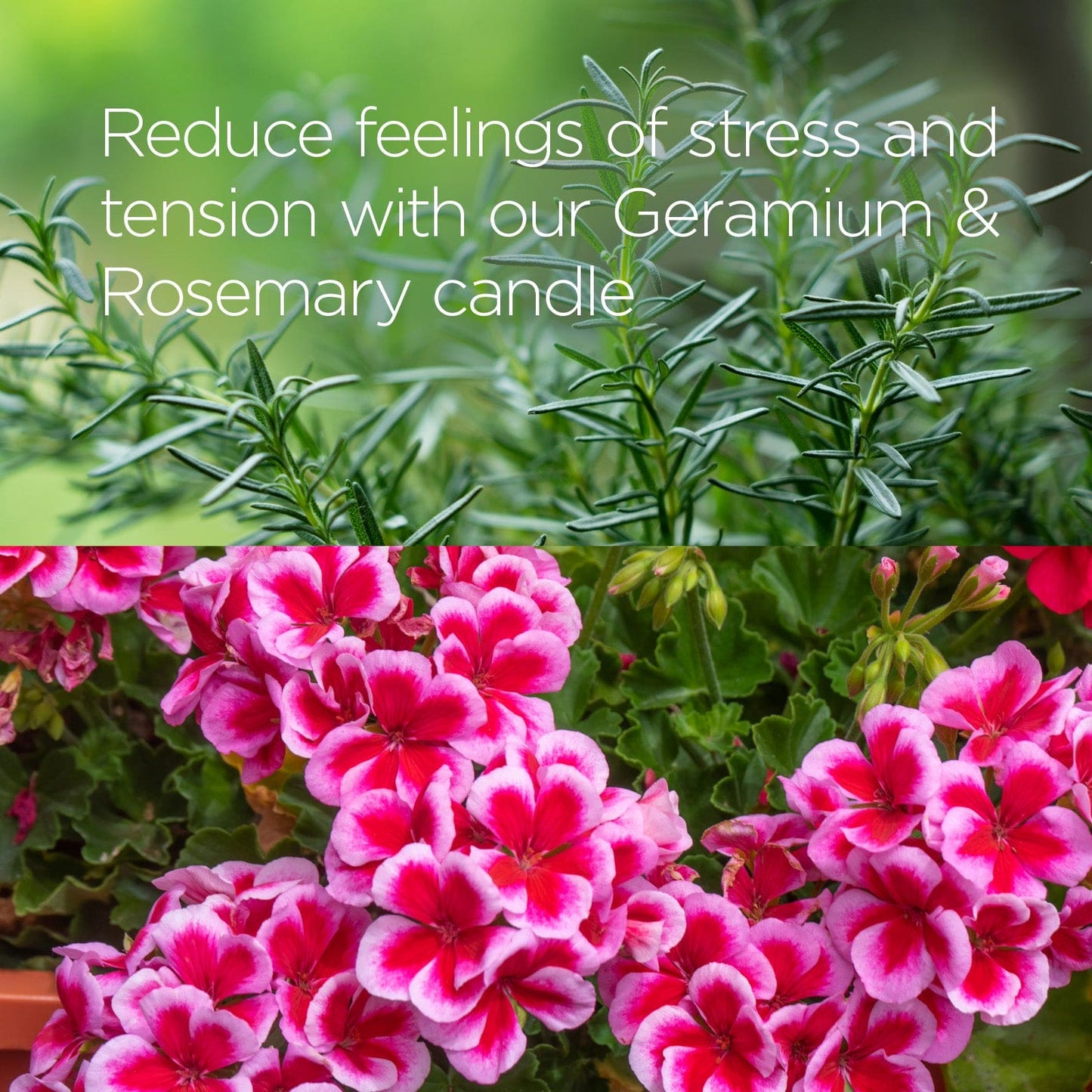 Candle - Geranium + Rosemary - Trade