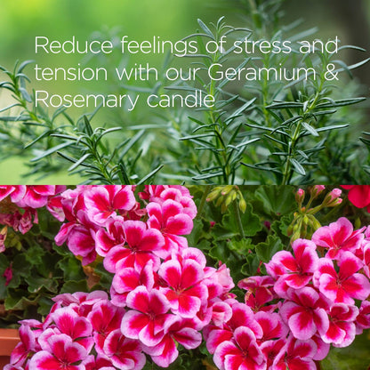 Candle - Geranium + Rosemary - Trade