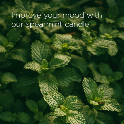 Spearmint Candle